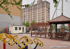 2025年养老 